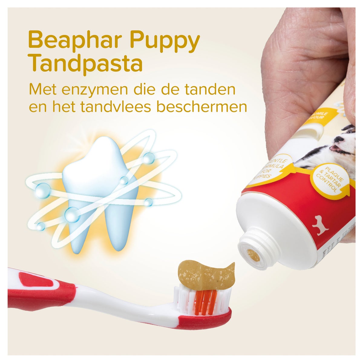 Puppy dental kit Beaphar Puppy dental kit Beaphar