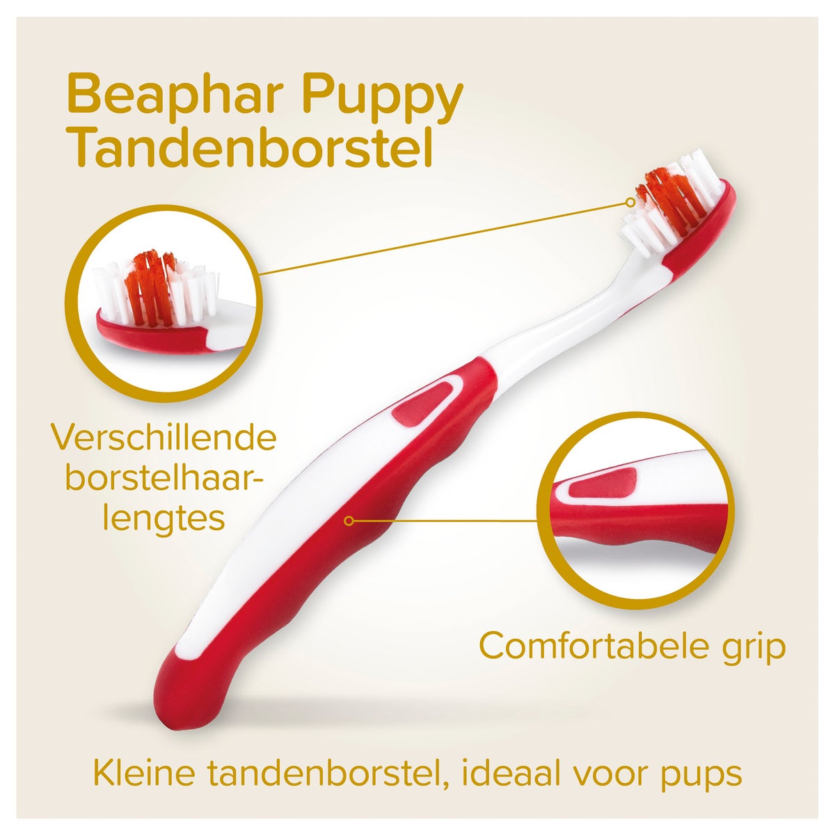 Puppy dental kit Beaphar Puppy dental kit Beaphar