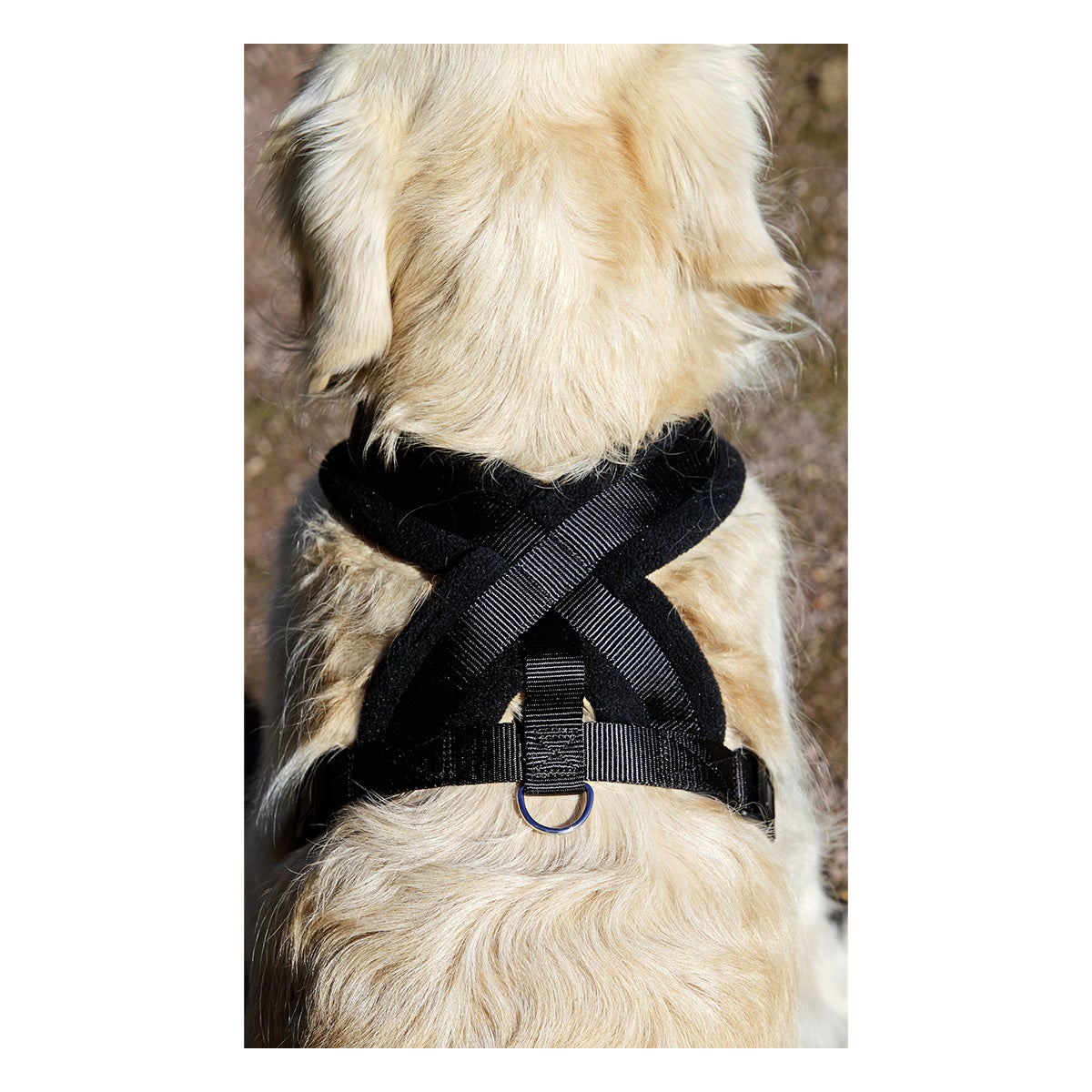Harnas cross Palos zwart XXS 15 mm 42-50 cm Harnas cross Palos zwart XXS 15 mm 42-50 cm