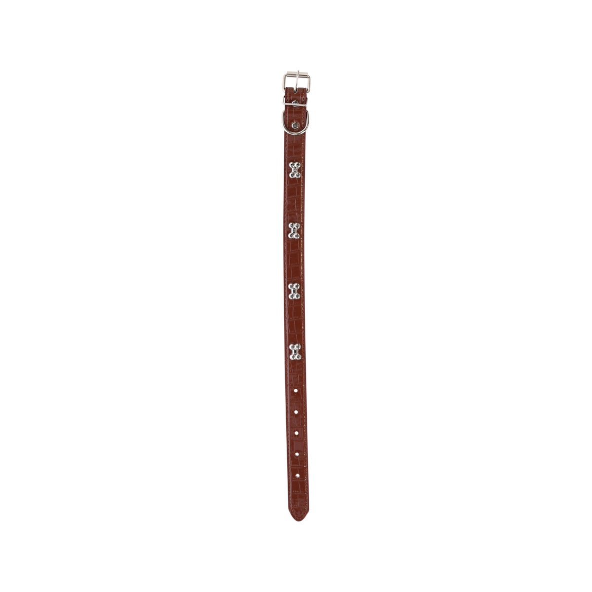 Halsband Hond Halsband Hond