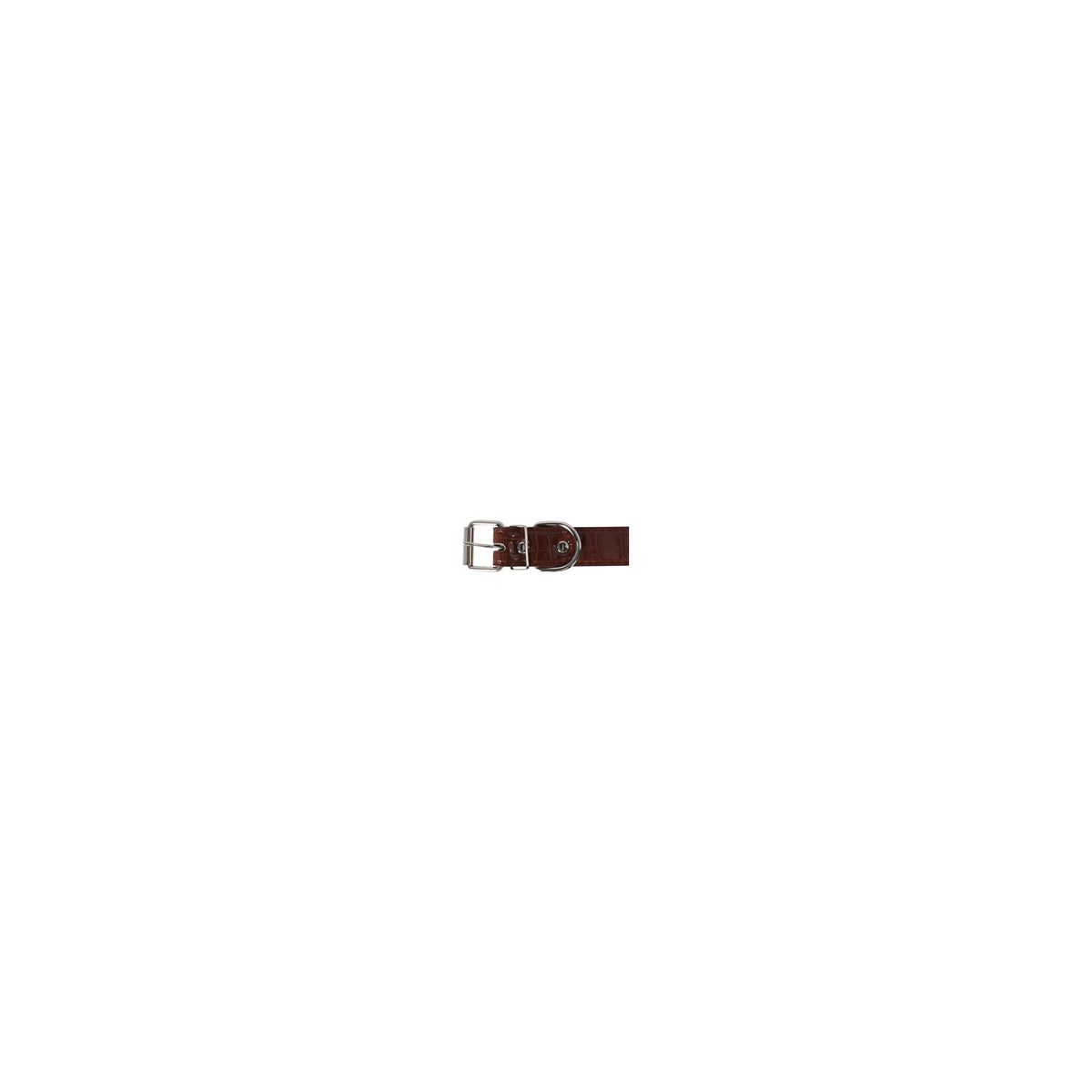 Halsband Hond Halsband Hond