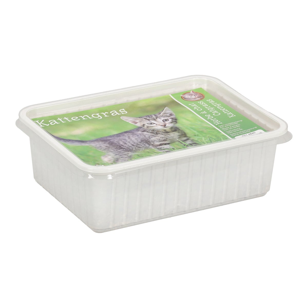 Kattengras Kattengras