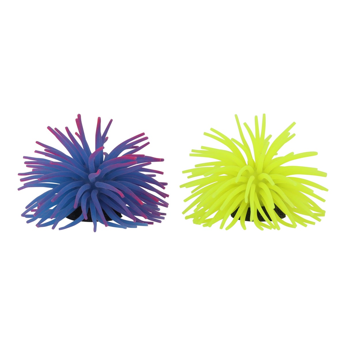 Deco aqua anemoon M Deco aqua anemoon M