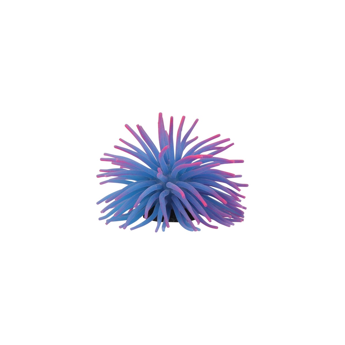 Deco aqua anemoon M Deco aqua anemoon M