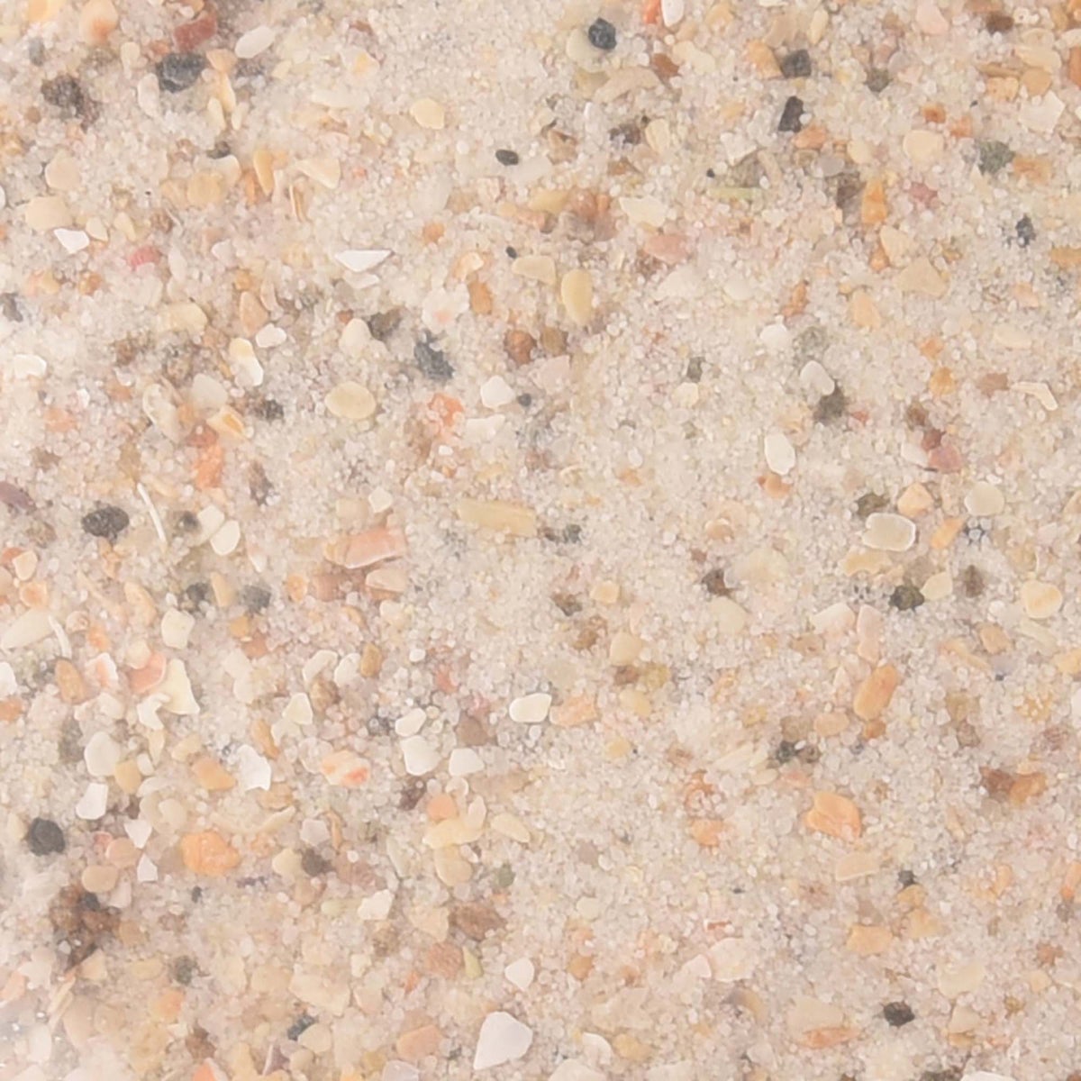 Schelpenzand-oesterschelpjes 2kg Schelpenzand-oesterschelpjes 2kg