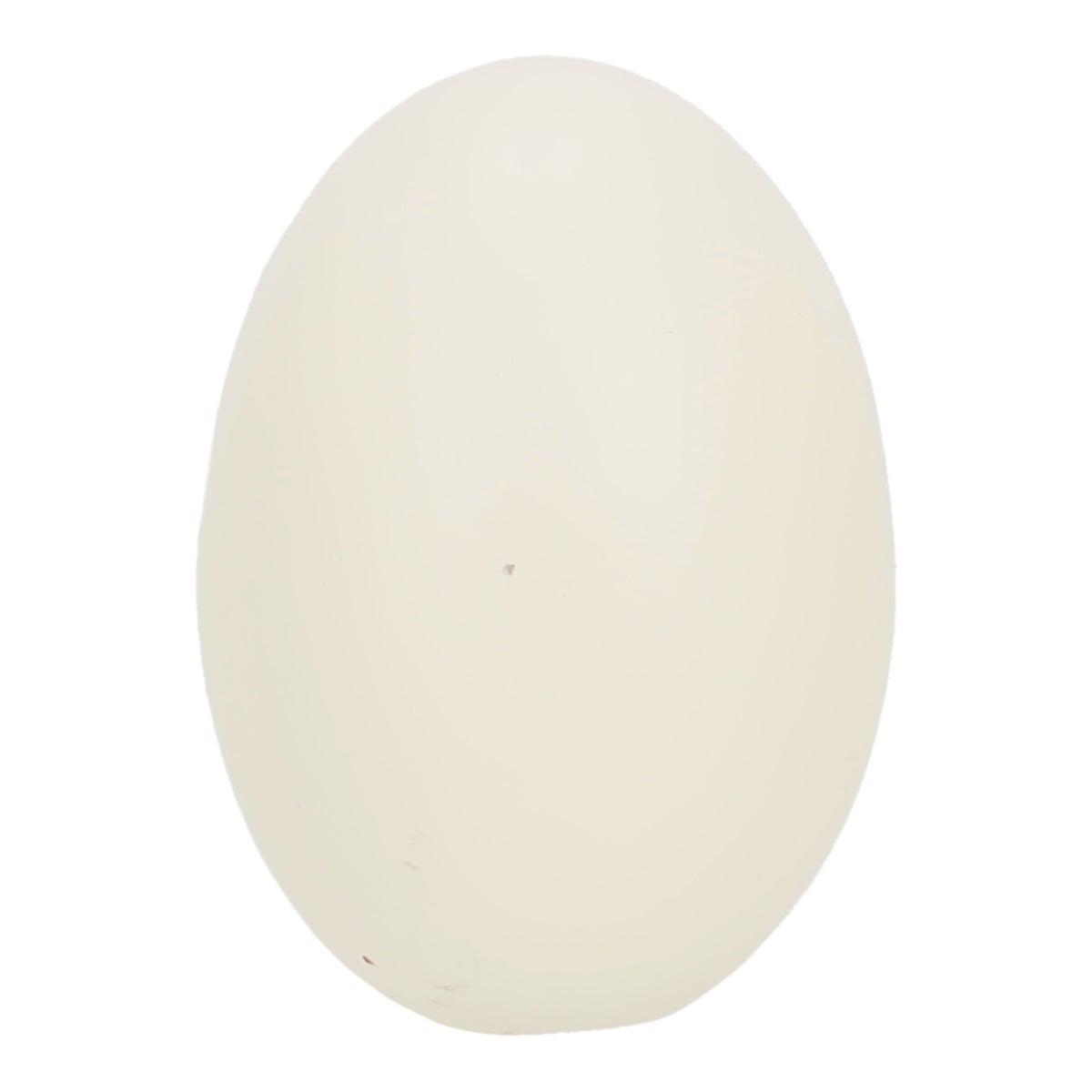 Kunstei terracotta kip Friendly Pet Kunstei terracotta kip Friendly Pet