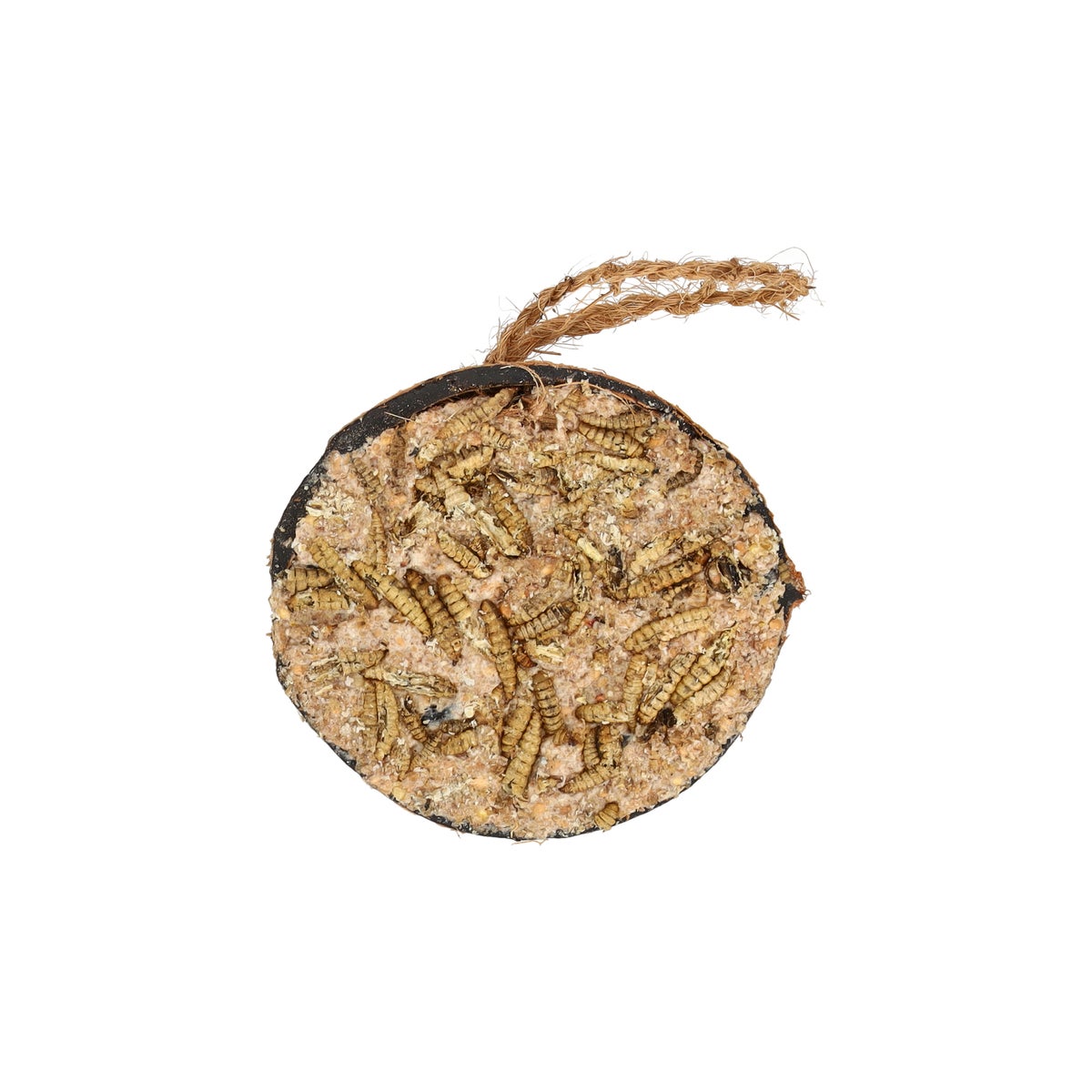 Cocosnoot half vet+soldaat vlieg Cocosnoot half vet+soldaat vlieg