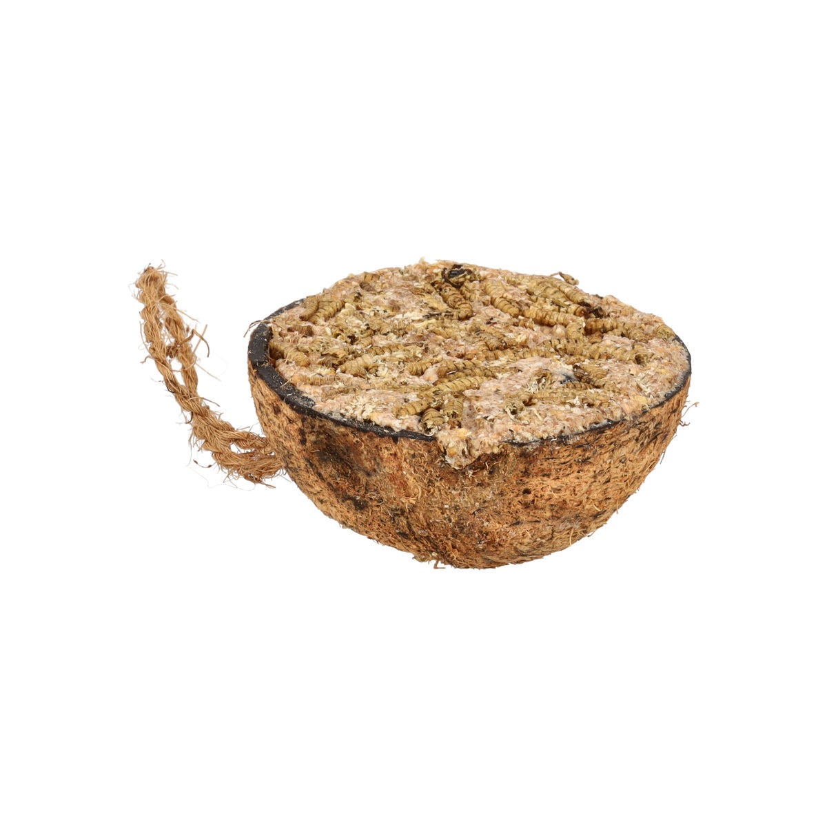 Cocosnoot half vet met soldaat vlieg Cocosnoot half vet met soldaat vlieg