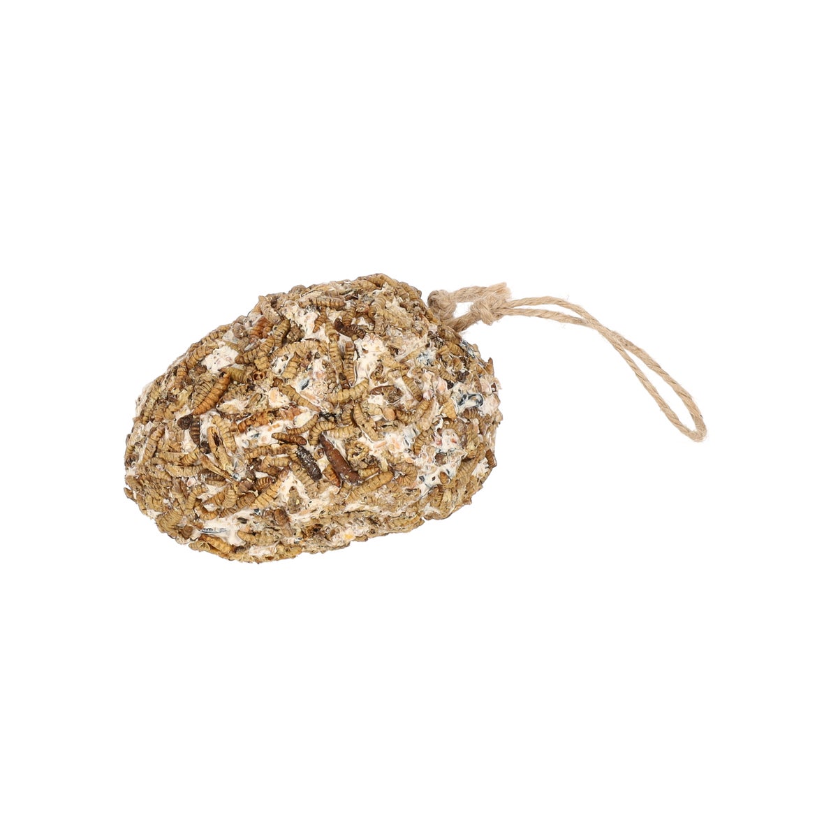 Dennenappel soldaatvlieg Dennenappel soldaatvlieg