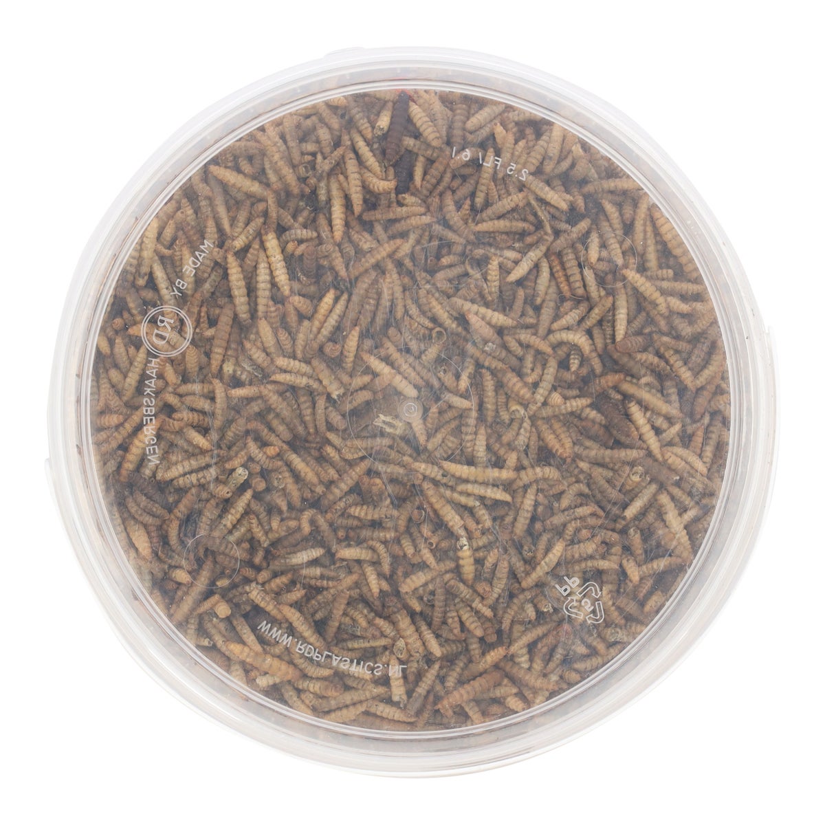 Black soldier flies 3 L Smulti Black soldier flies 3 L Smulti