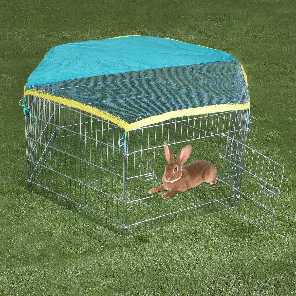 Buitenren konijn + net FP Buitenren konijn + net FP