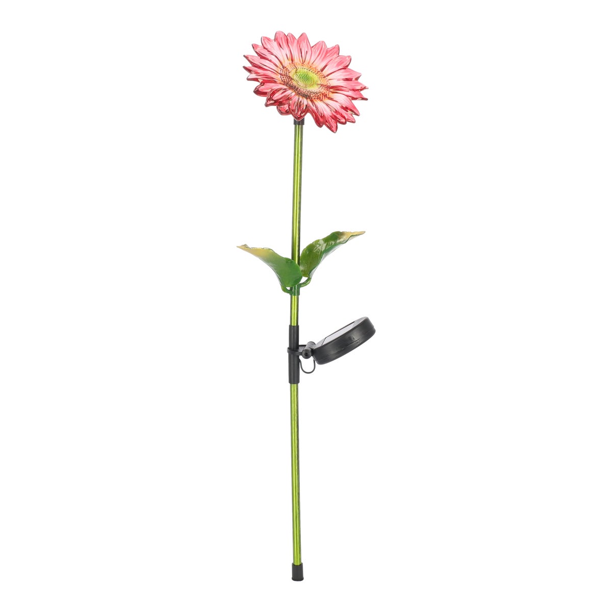 Bloem solar 75 cm Bloem solar 75 cm