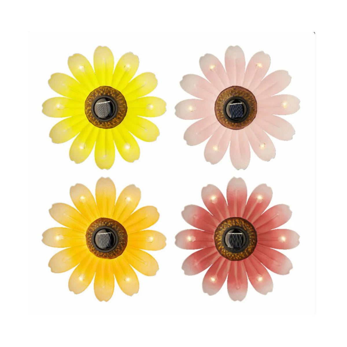 Bloem solar 14 cm Bloem solar 14 cm