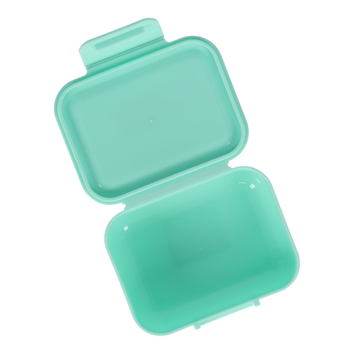 Koekendoos Rainbow green blue Koekendoos Rainbow green blue