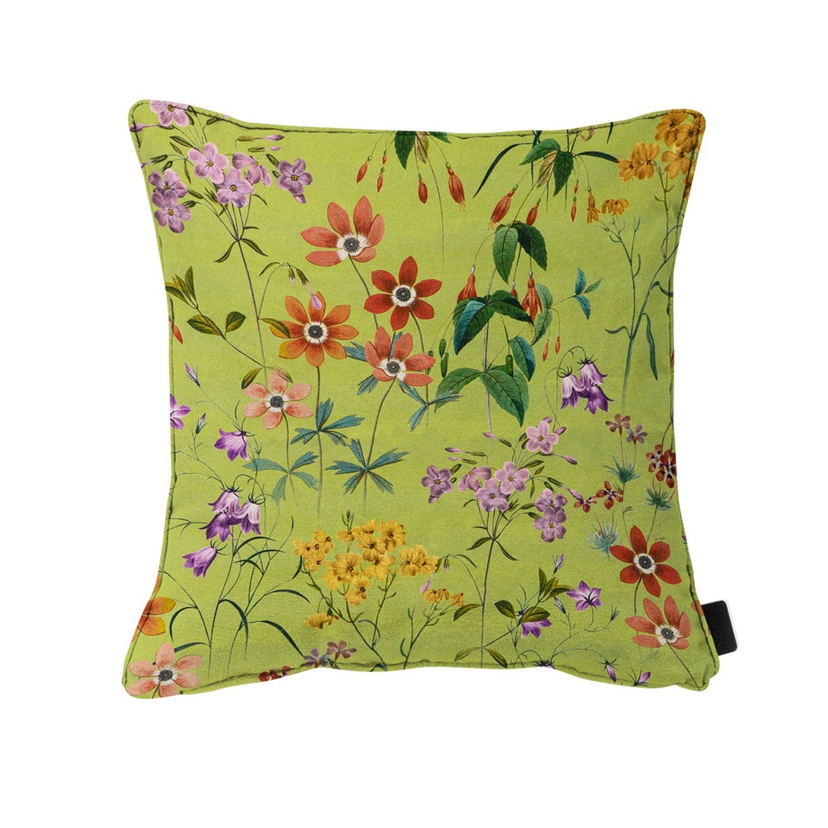 Out Milly green O281 50 x 50 pillow Out Milly green O281 50 x 50 pillow