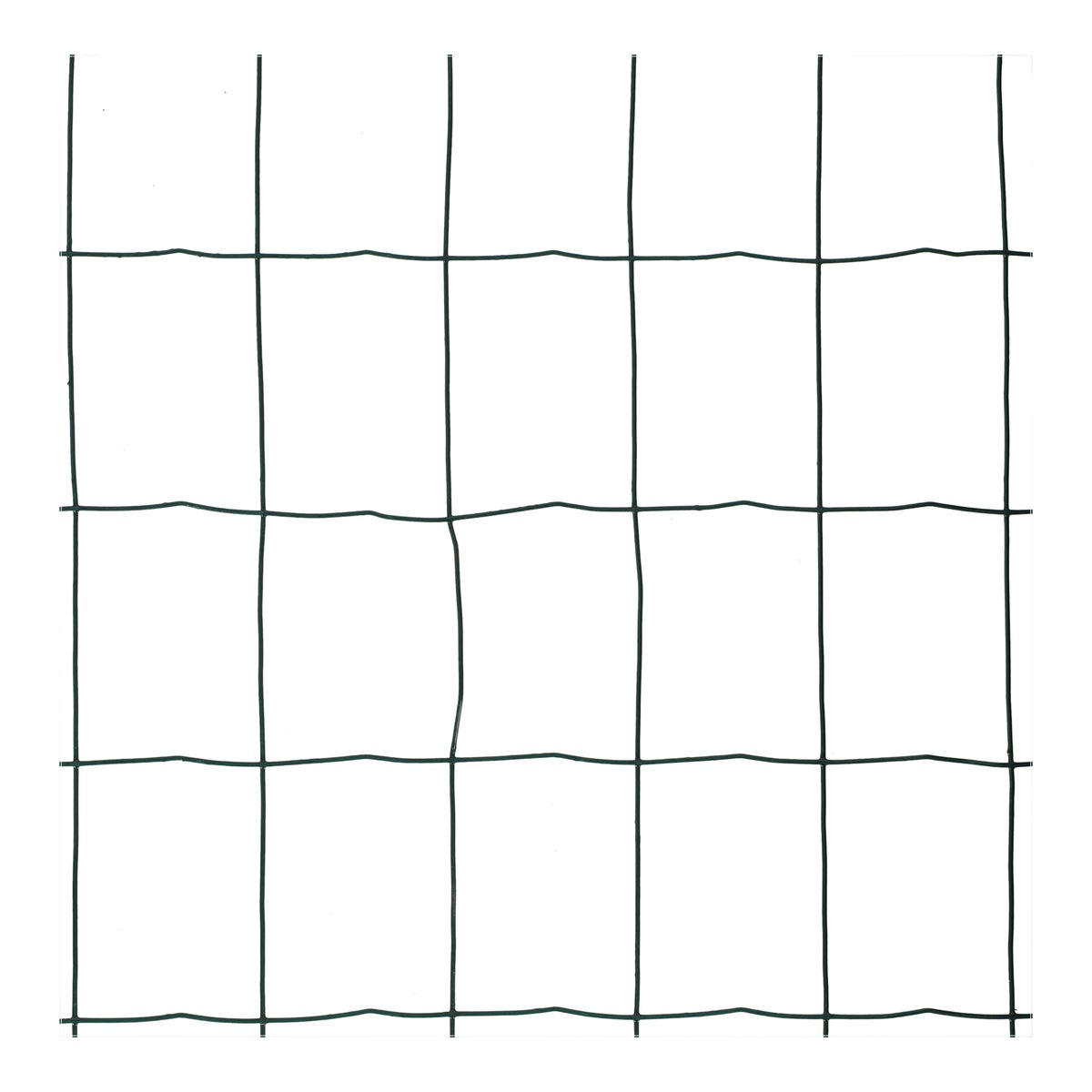 Gaas Tuin Groen 25M Kos Gaas Tuin Groen 25M Kos