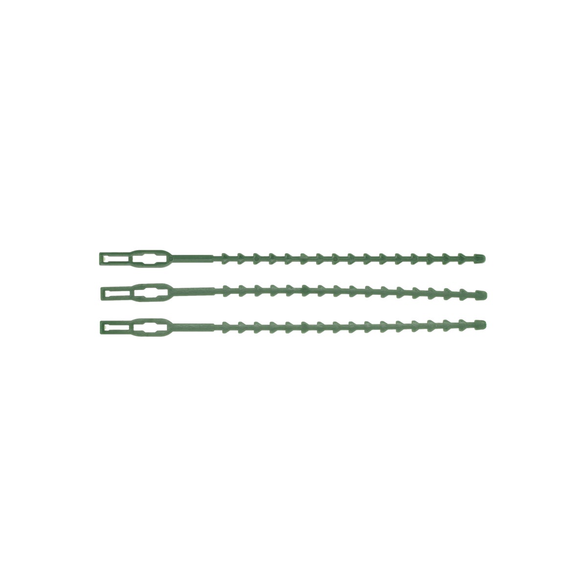 Bindbandje groen 170 mm 30 stuks Bel Garden Bindbandje groen 170 mm 30 stuks Bel Garden