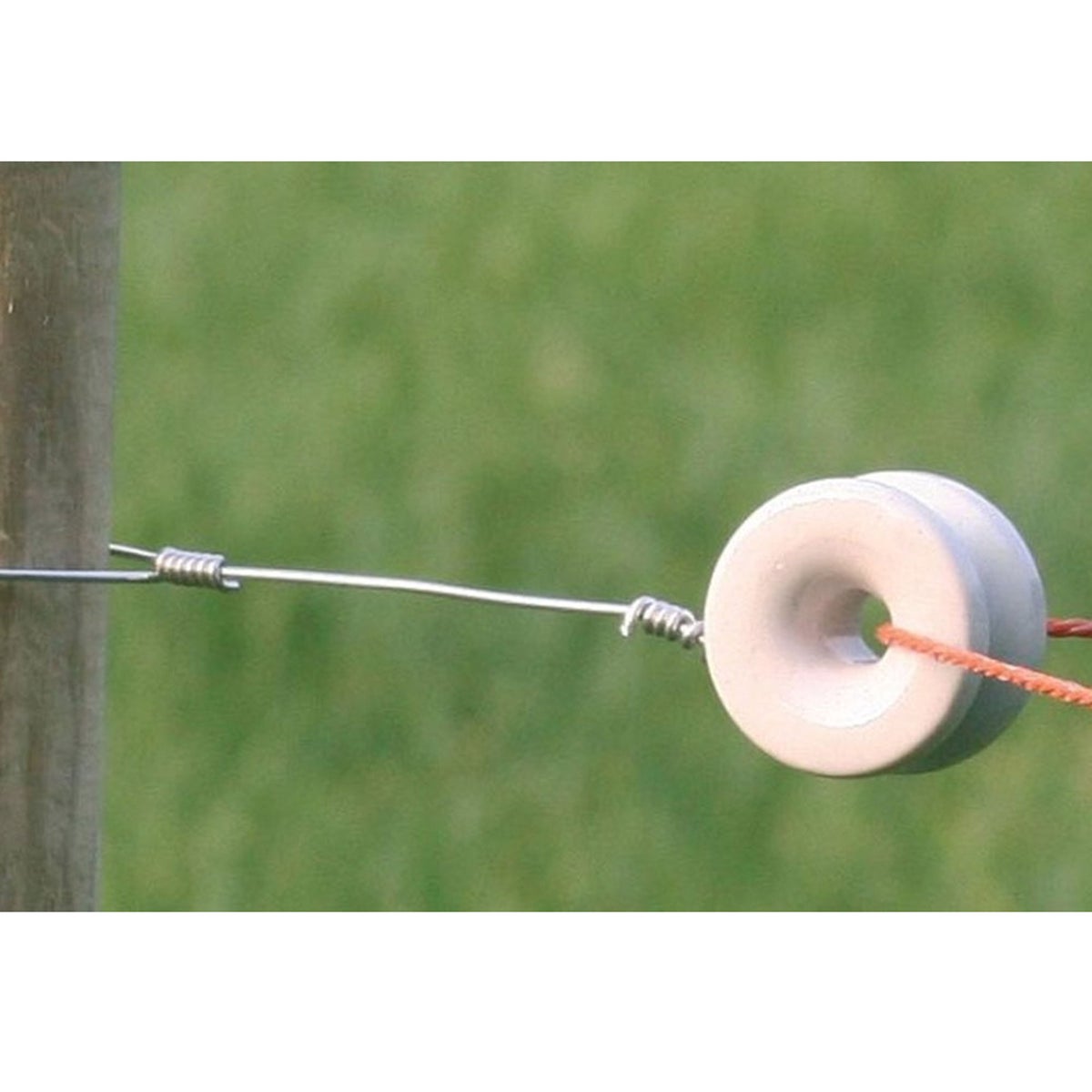 Isolator hoek porselein 10 stuks Koltec Isolator hoek porselein 10 stuks Koltec