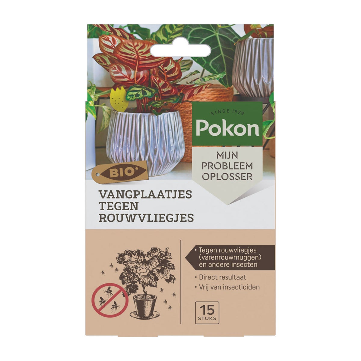 Vangplaatjes rouwvliegjes Pokon Vangplaatjes rouwvliegjes Pokon
