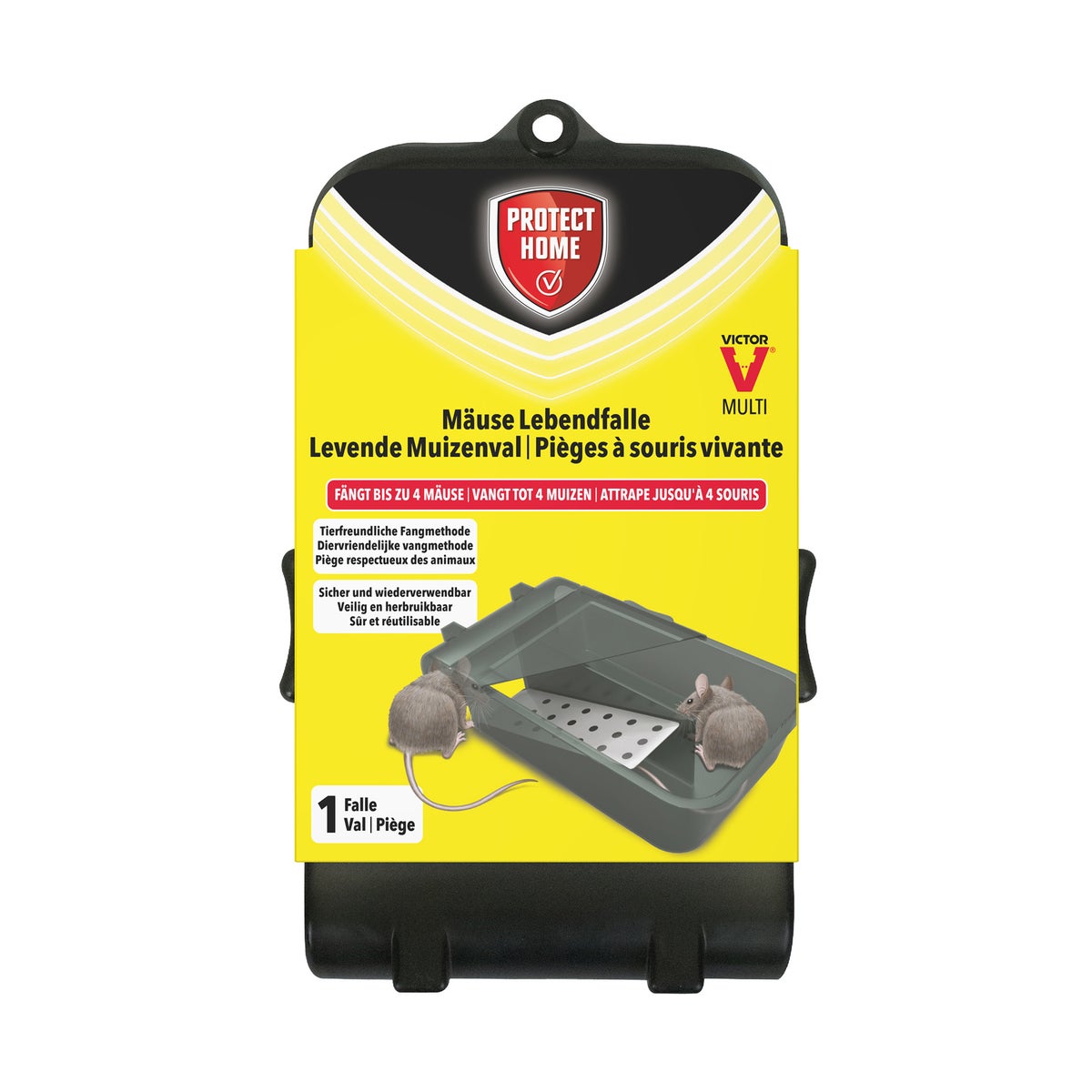 Muizenval catch+hold Victor Muizenval catch+hold Victor