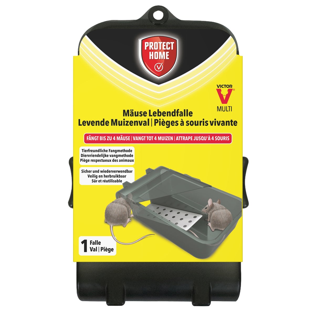 Muizenval catch+hold Victor Muizenval catch+hold Victor