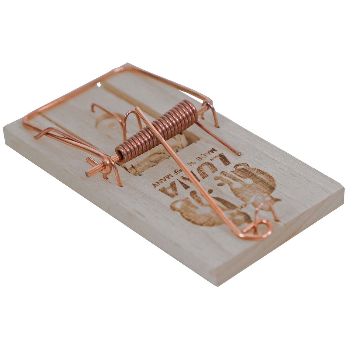 Muizenval Luna Muizenval Luna