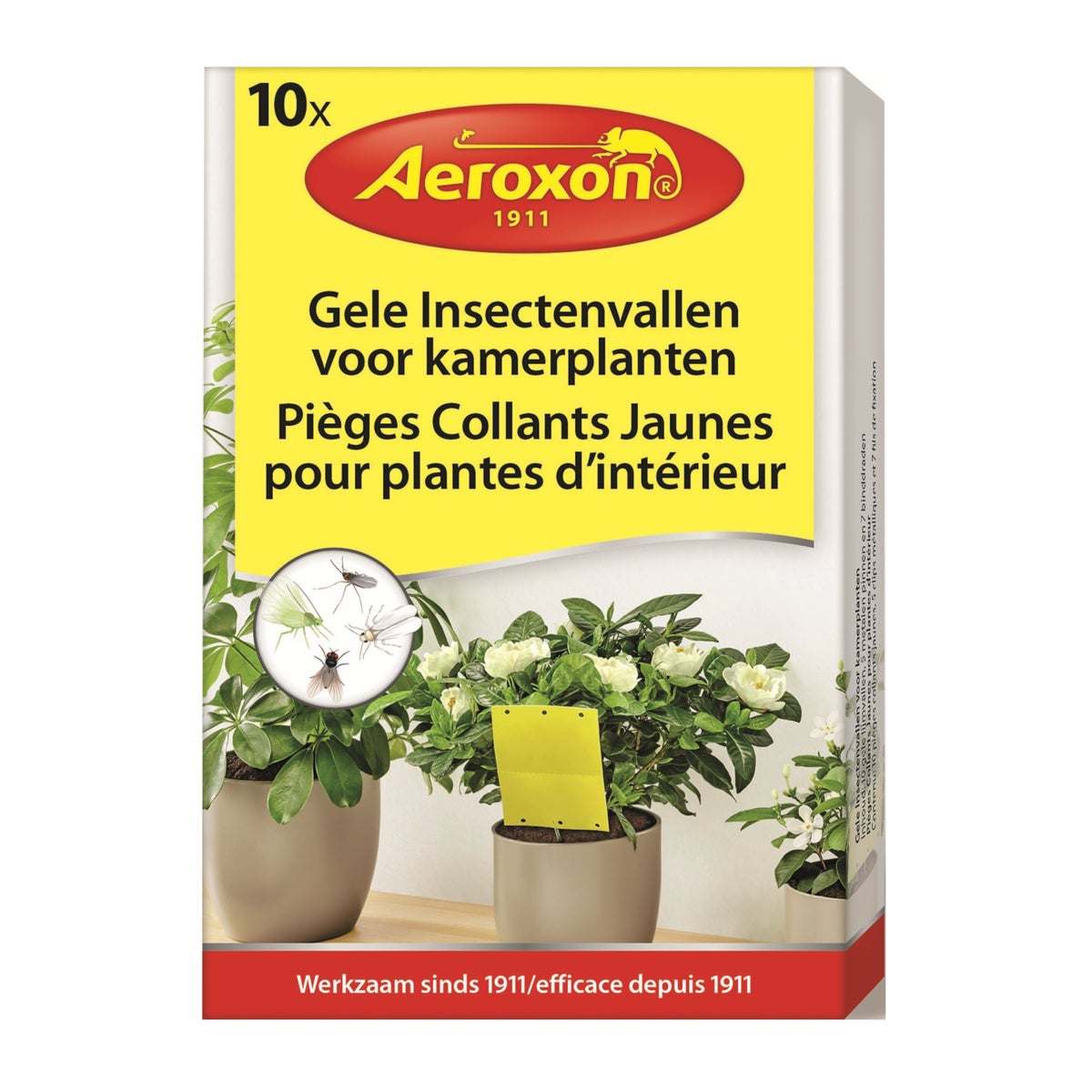 Insectenval kamerplanten 10 stuks Aeroxon Insectenval kamerplanten 10 stuks Aeroxon