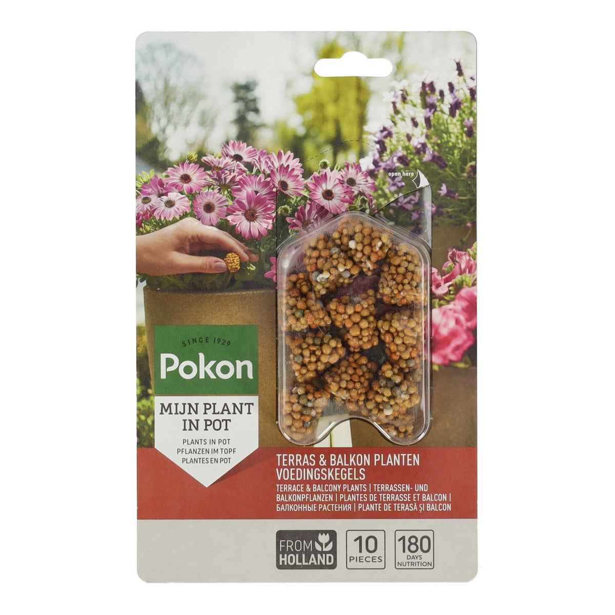 Voedingskegels terras + balkon 10st Pokon Voedingskegels terras + balkon 10st Pokon