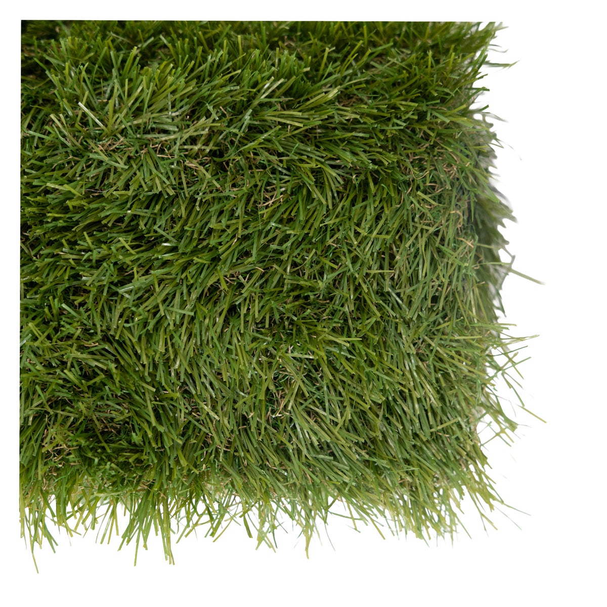 Grastapijt The Valley 2 x 4 m Bel Garden Grastapijt The Valley 2 x 4 m Bel Garden