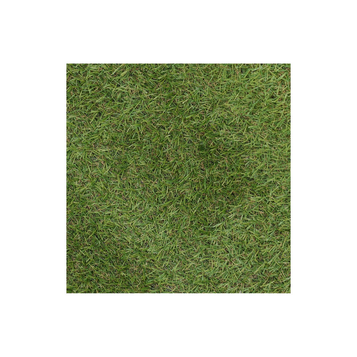 Grastapijt Carrow Road 1 x 2 m Bel Garden Grastapijt Carrow Road 1 x 2 m Bel Garden