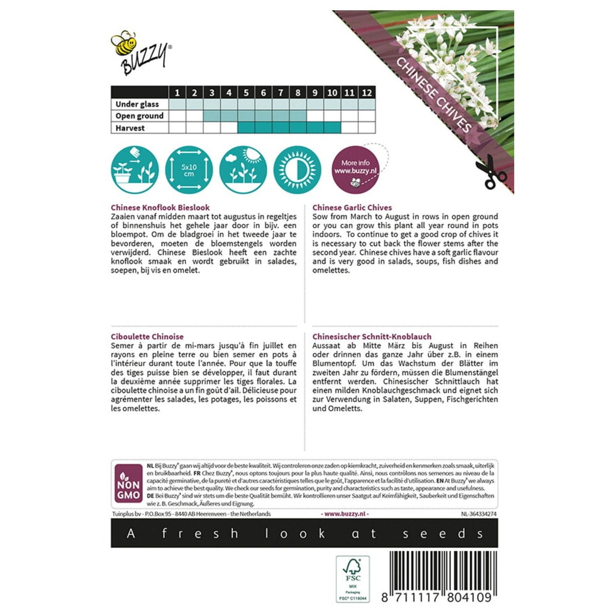 Chinese Bieslook Chinese Bieslook