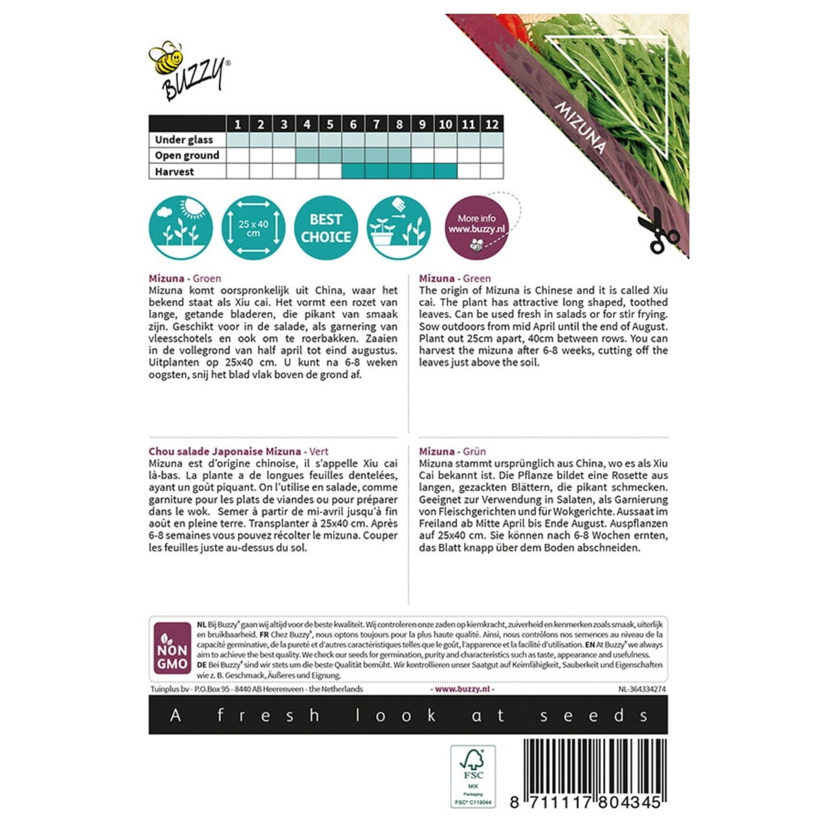 Mizuna Mizuna