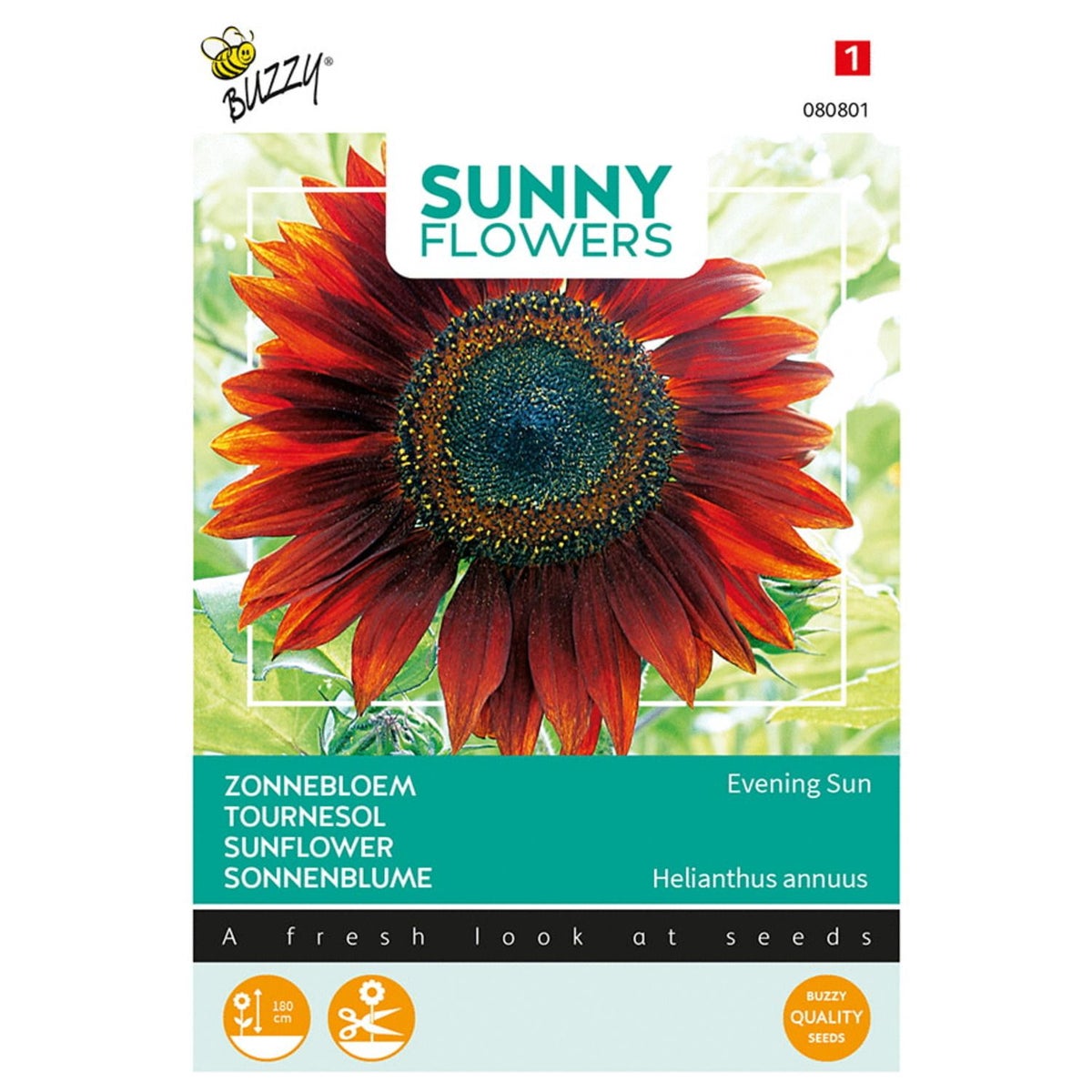 Zonnebloem Avondzon Zonnebloem Avondzon