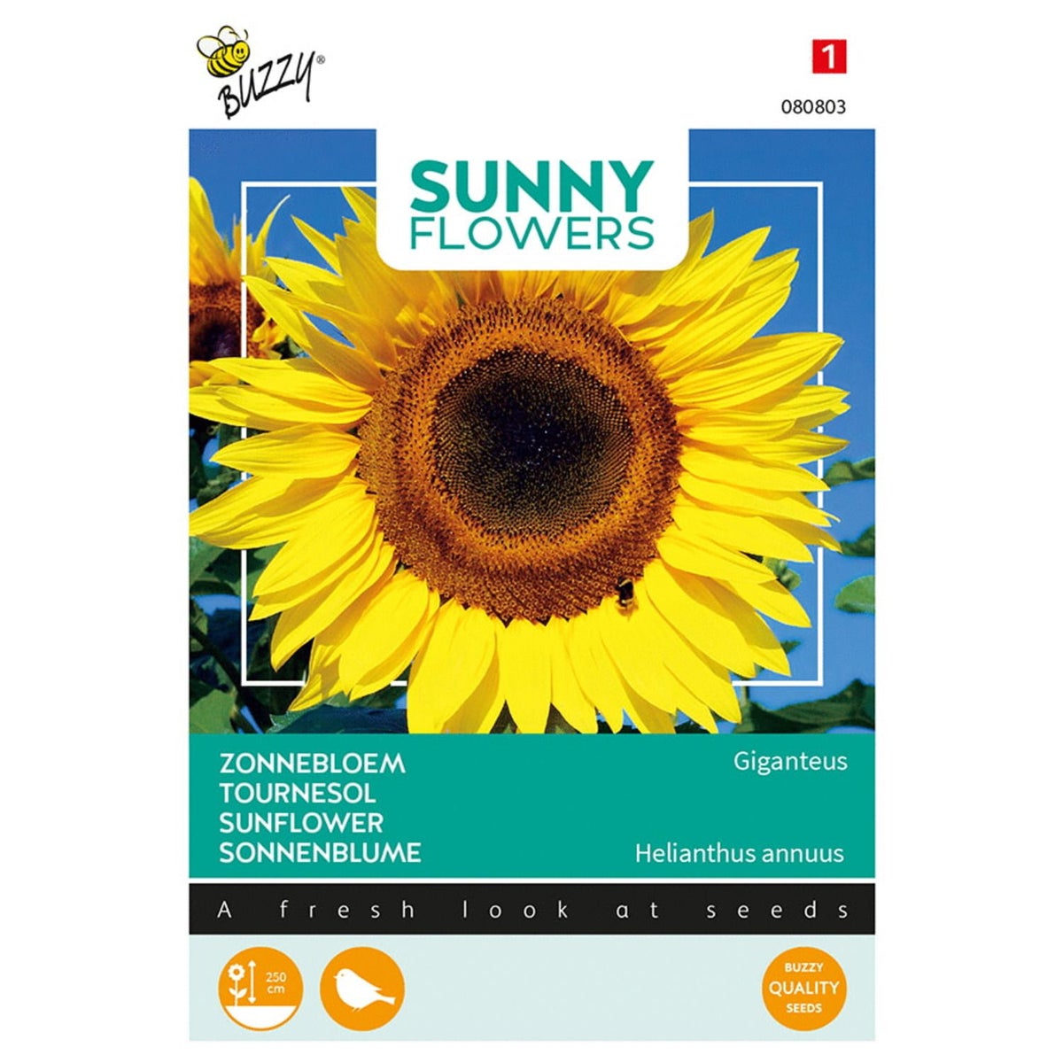 Reuzezonnebloem Giganteus Reuzezonnebloem Giganteus