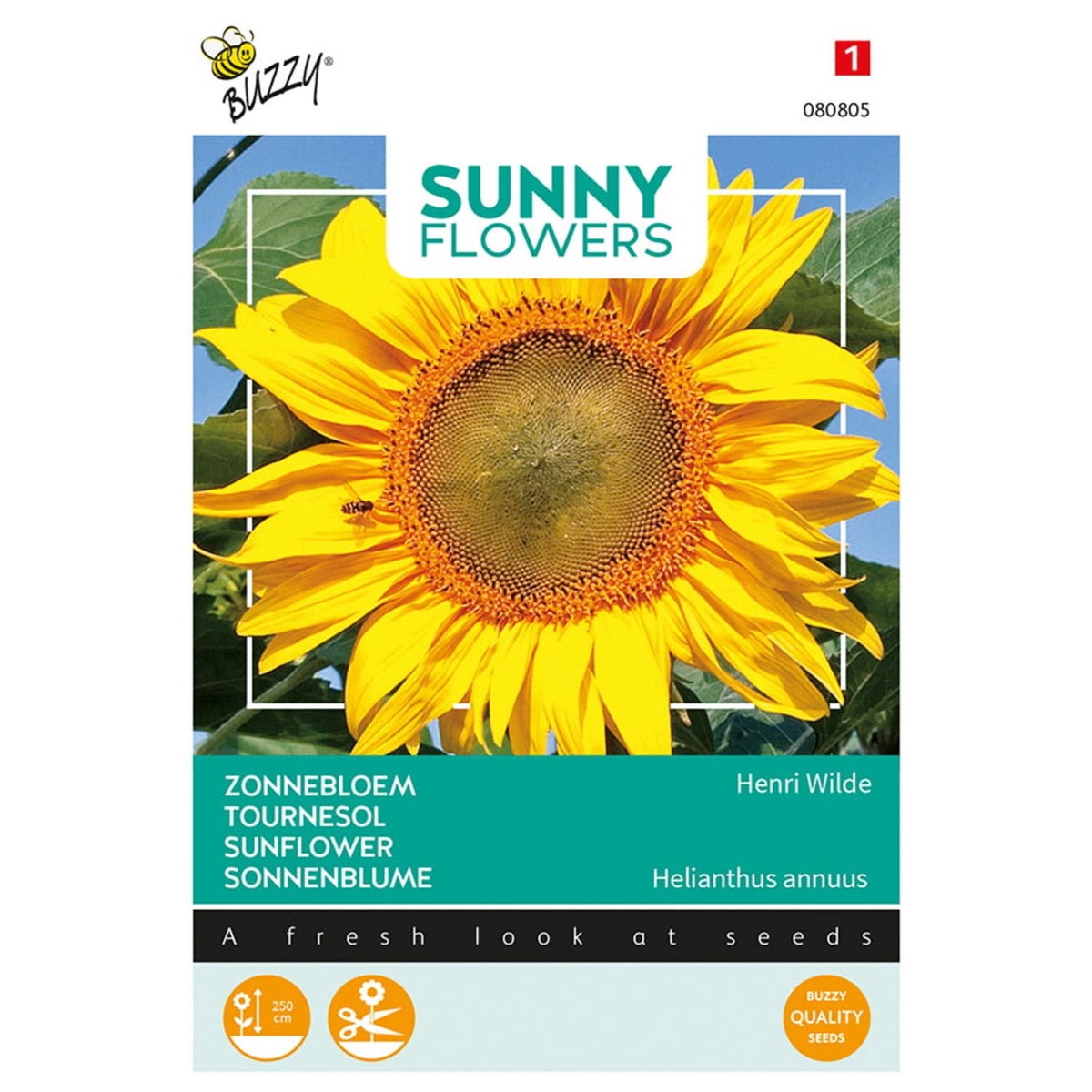 Zonnebloem Henry Wilde Zonnebloem Henry Wilde