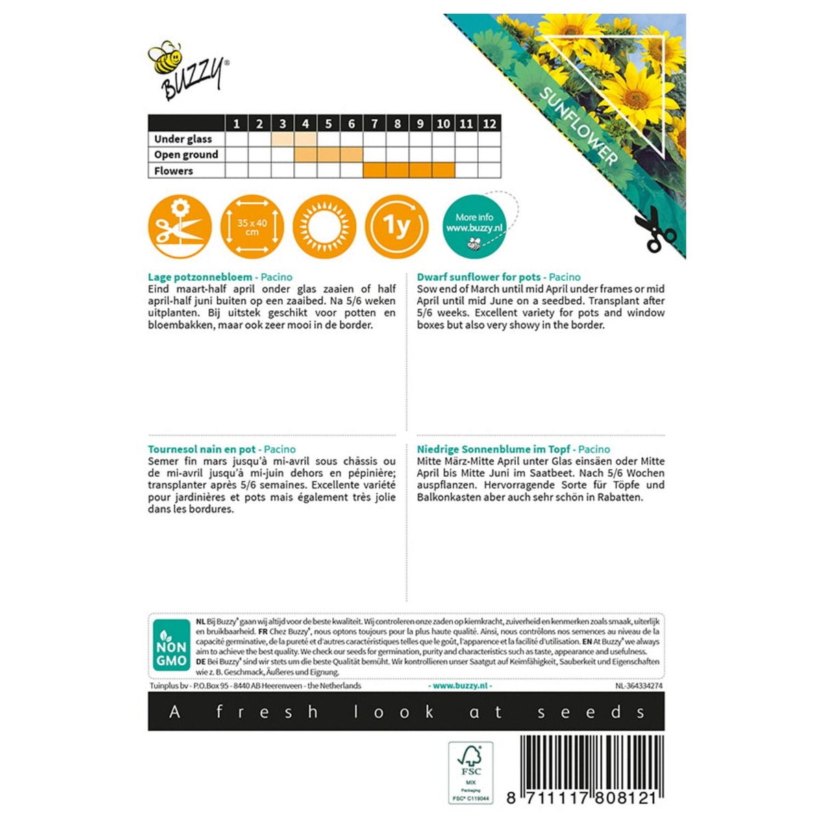 Zonnebloem Pacino Gold Zonnebloem Pacino Gold