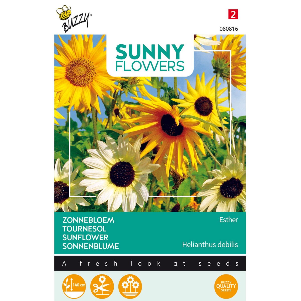 Zonnebloem Esther Zonnebloem Esther