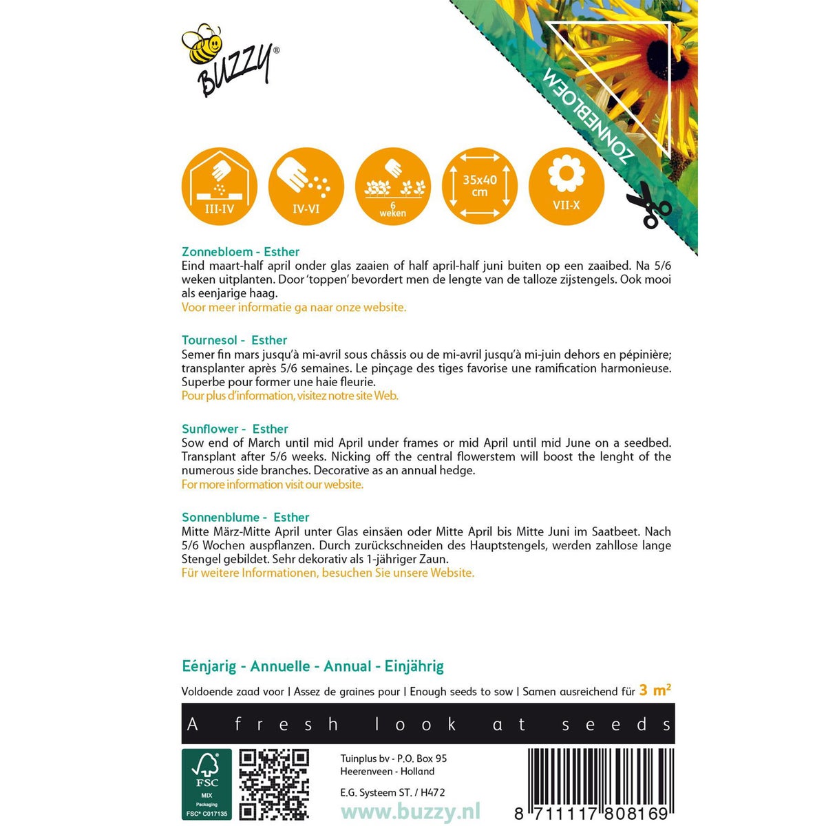 Zonnebloem Esther Zonnebloem Esther