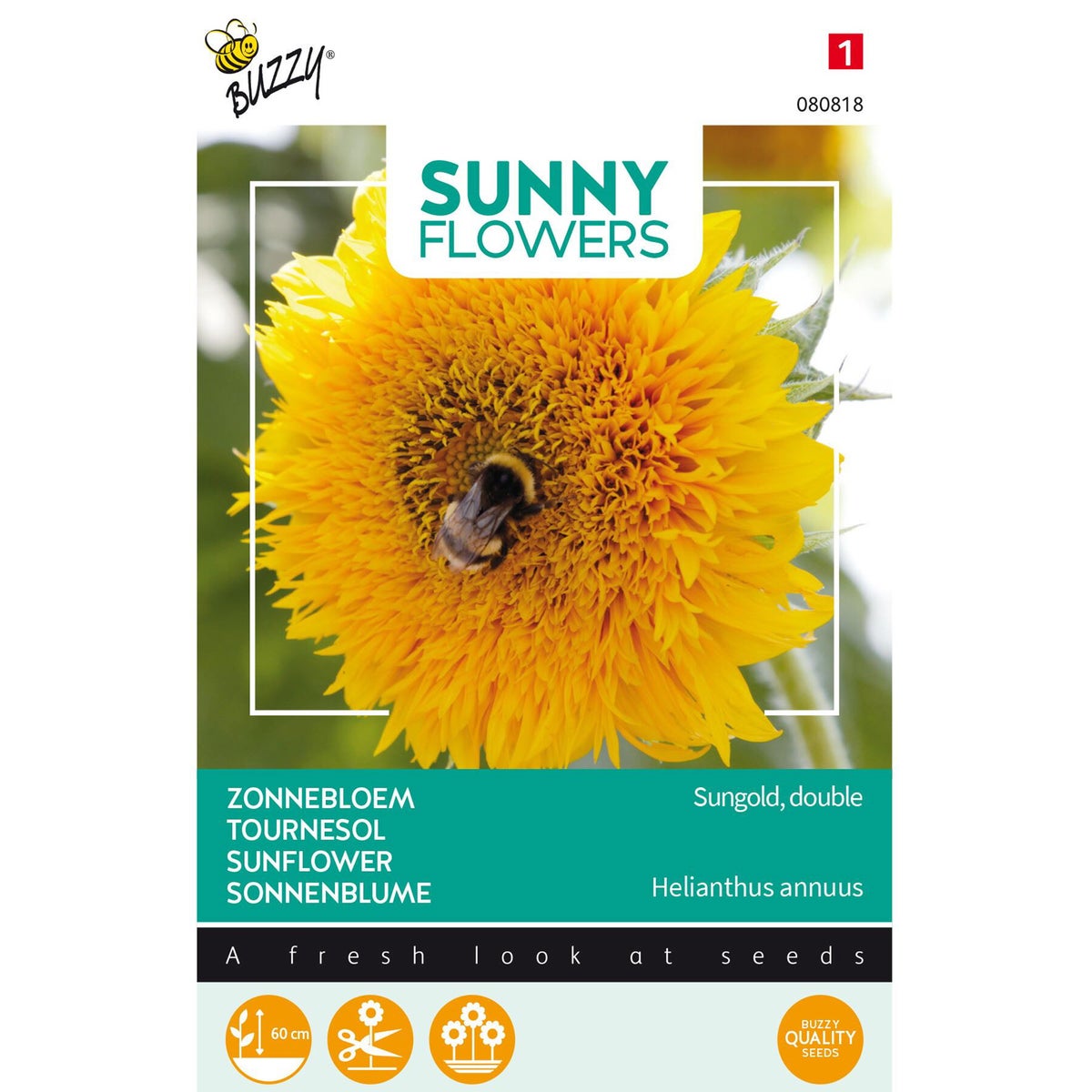 Lage Zonnebloem Sungold dubbelbloemig Lage Zonnebloem Sungold dubbelbloemig