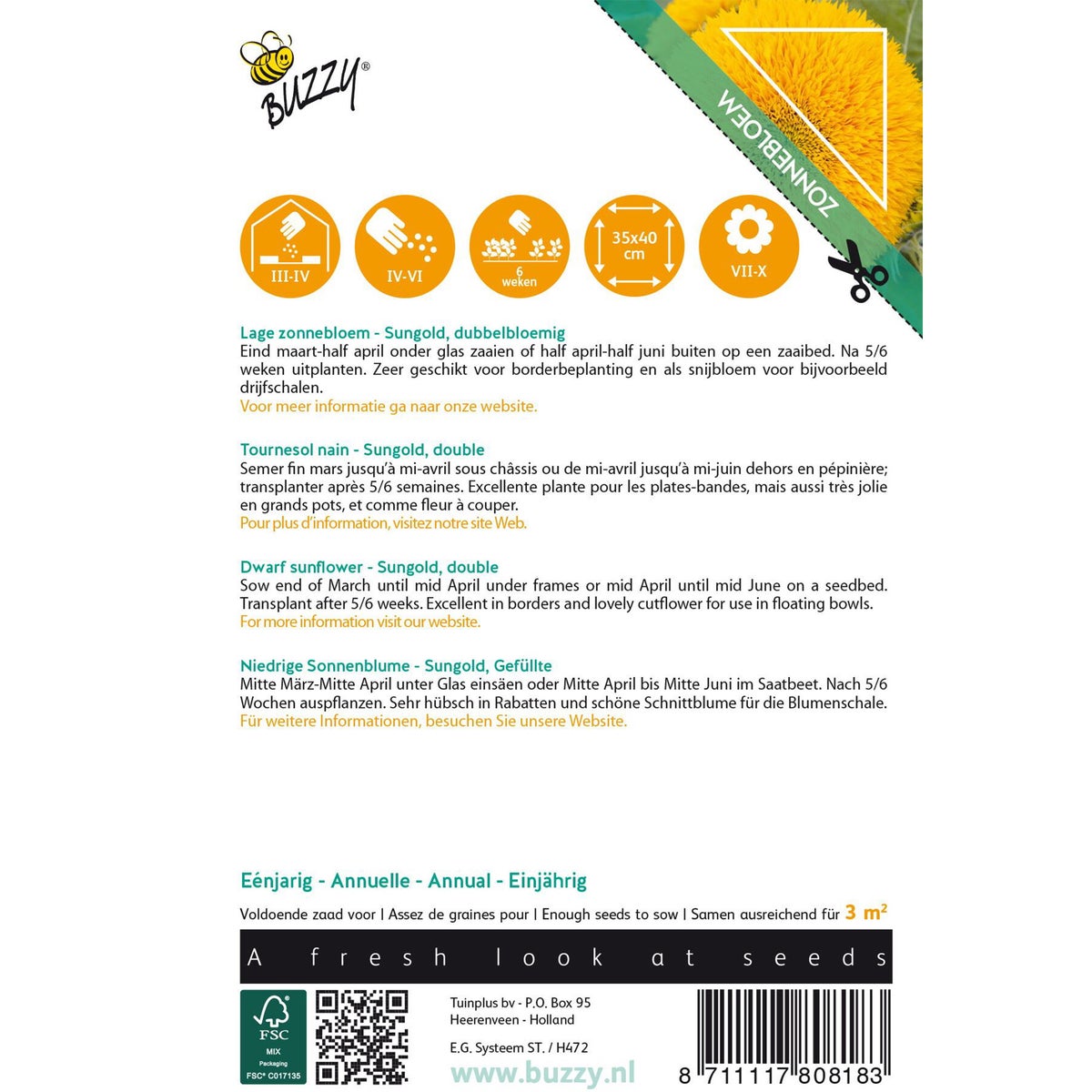 Lage Zonnebloem Sungold dubbelbloemig Lage Zonnebloem Sungold dubbelbloemig