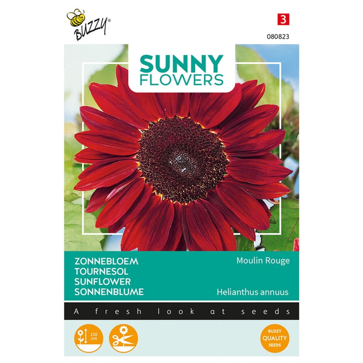 Zonnebloem Moulin Rouge Zonnebloem Moulin Rouge