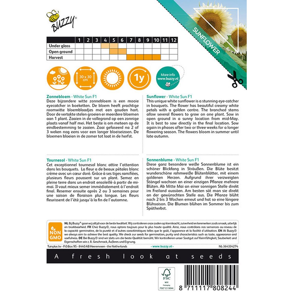 Zonnebloem White Sun of Day Zonnebloem White Sun of Day