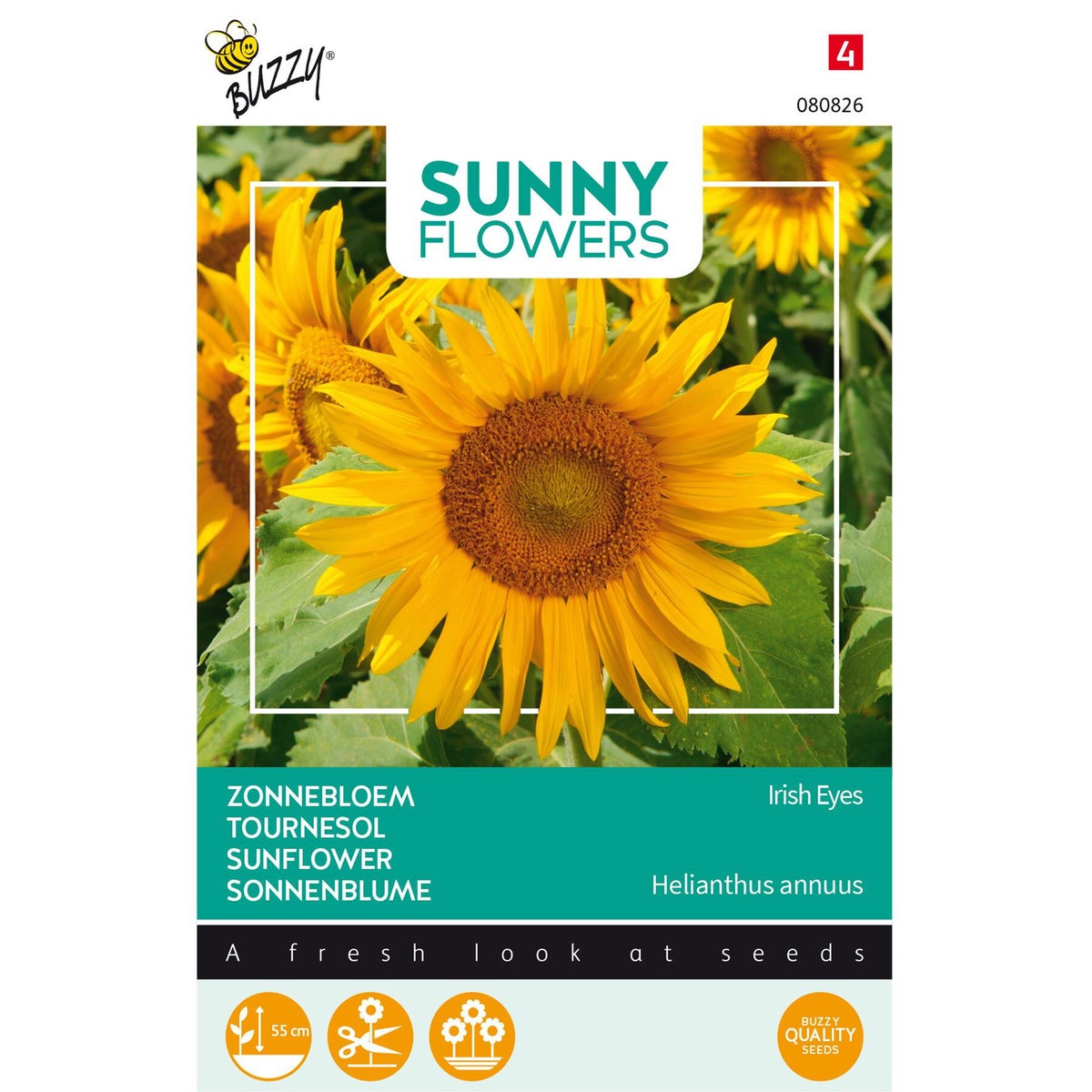 Zonnebloem Irish eyes Zonnebloem Irish eyes