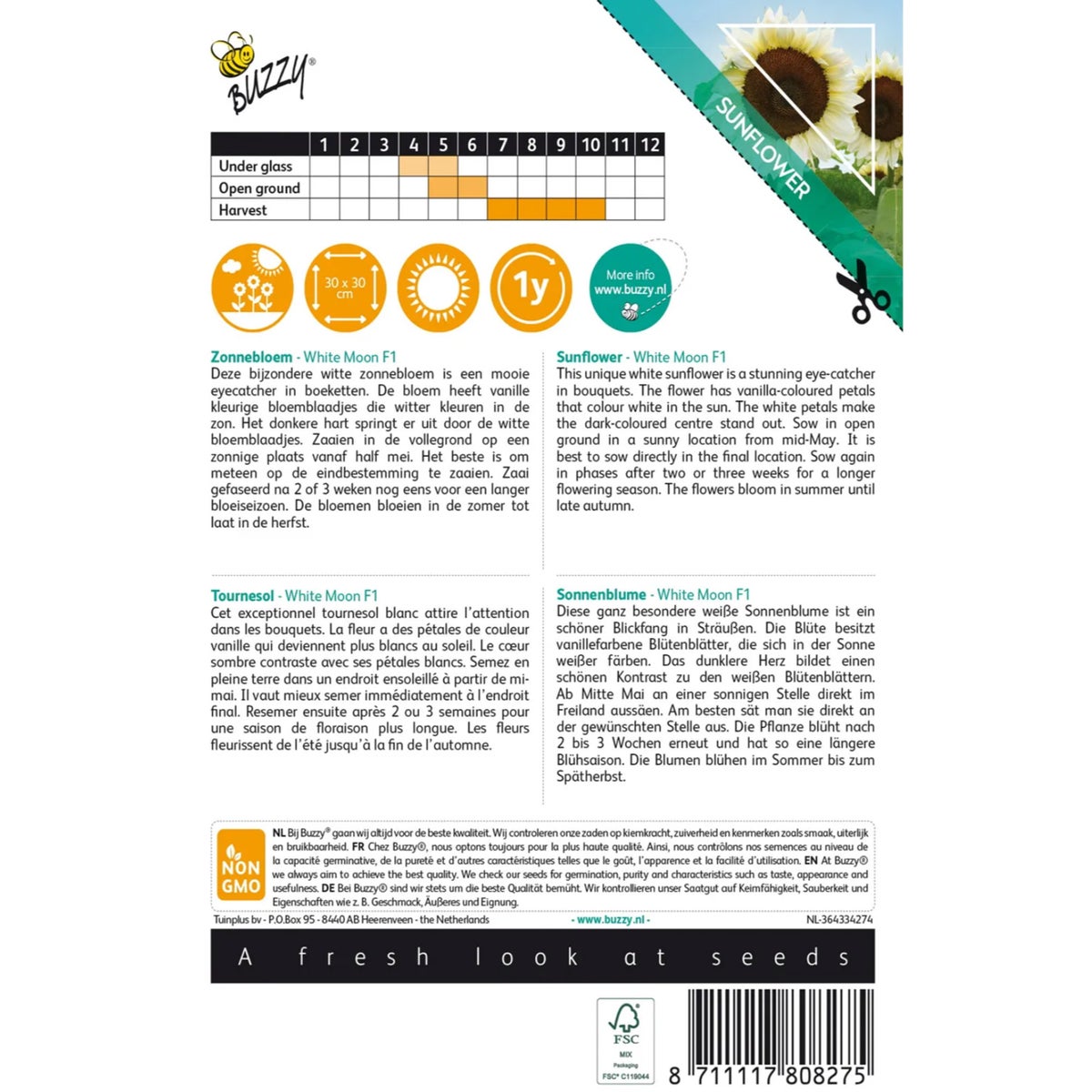 Zonnebloem White Moon of Night Zonnebloem White Moon of Night