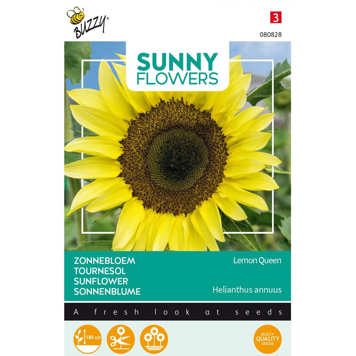 Zonnebloem Lemon Queen Zonnebloem Lemon Queen