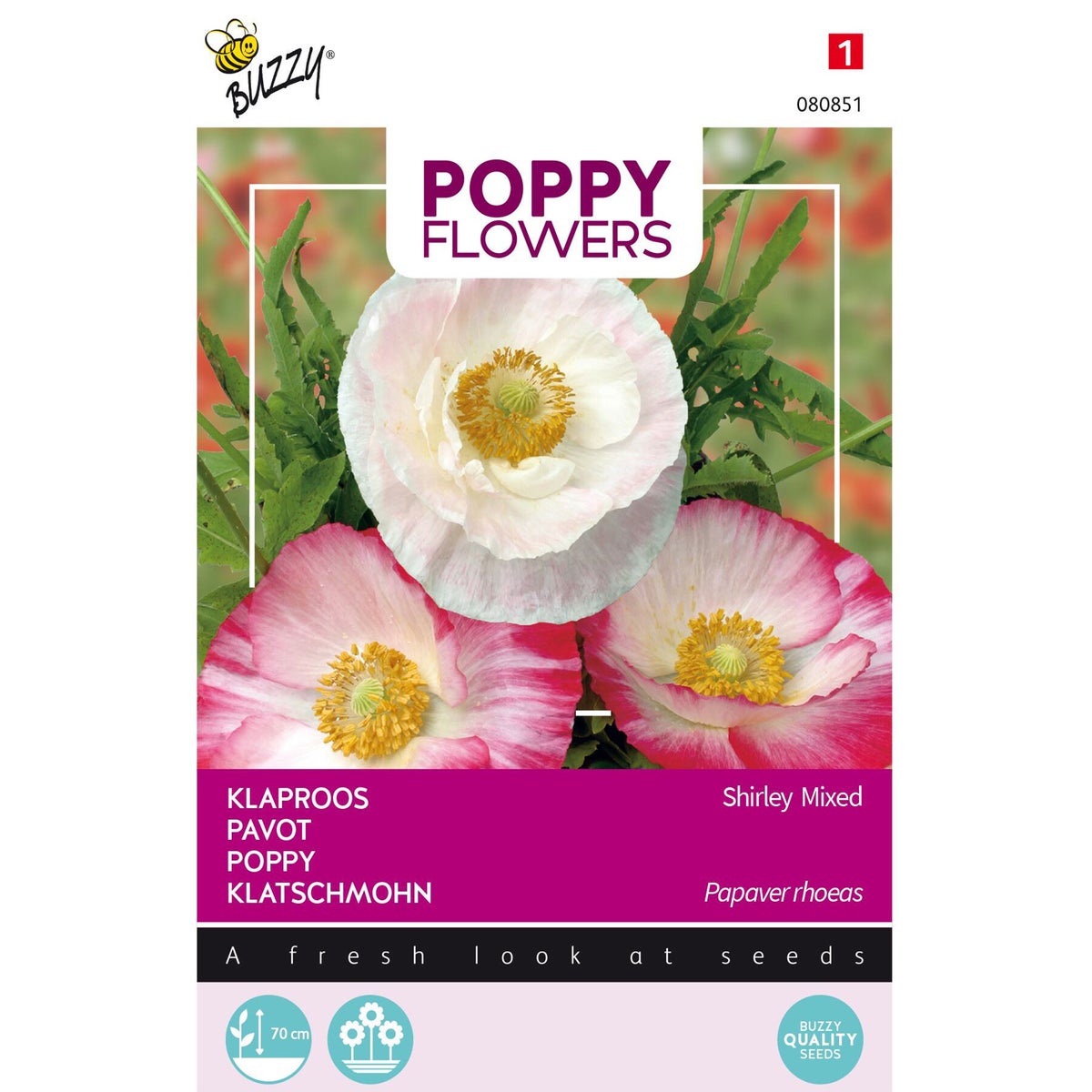 Klaproos Shirley mix Klaproos Shirley mix