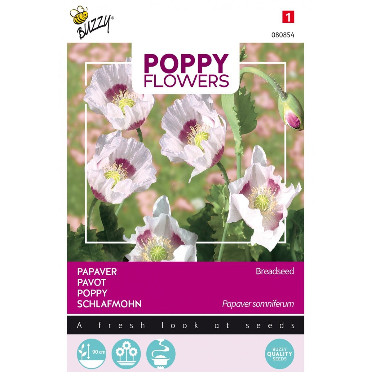 Papaver Blauwmaanzaad Papaver Blauwmaanzaad