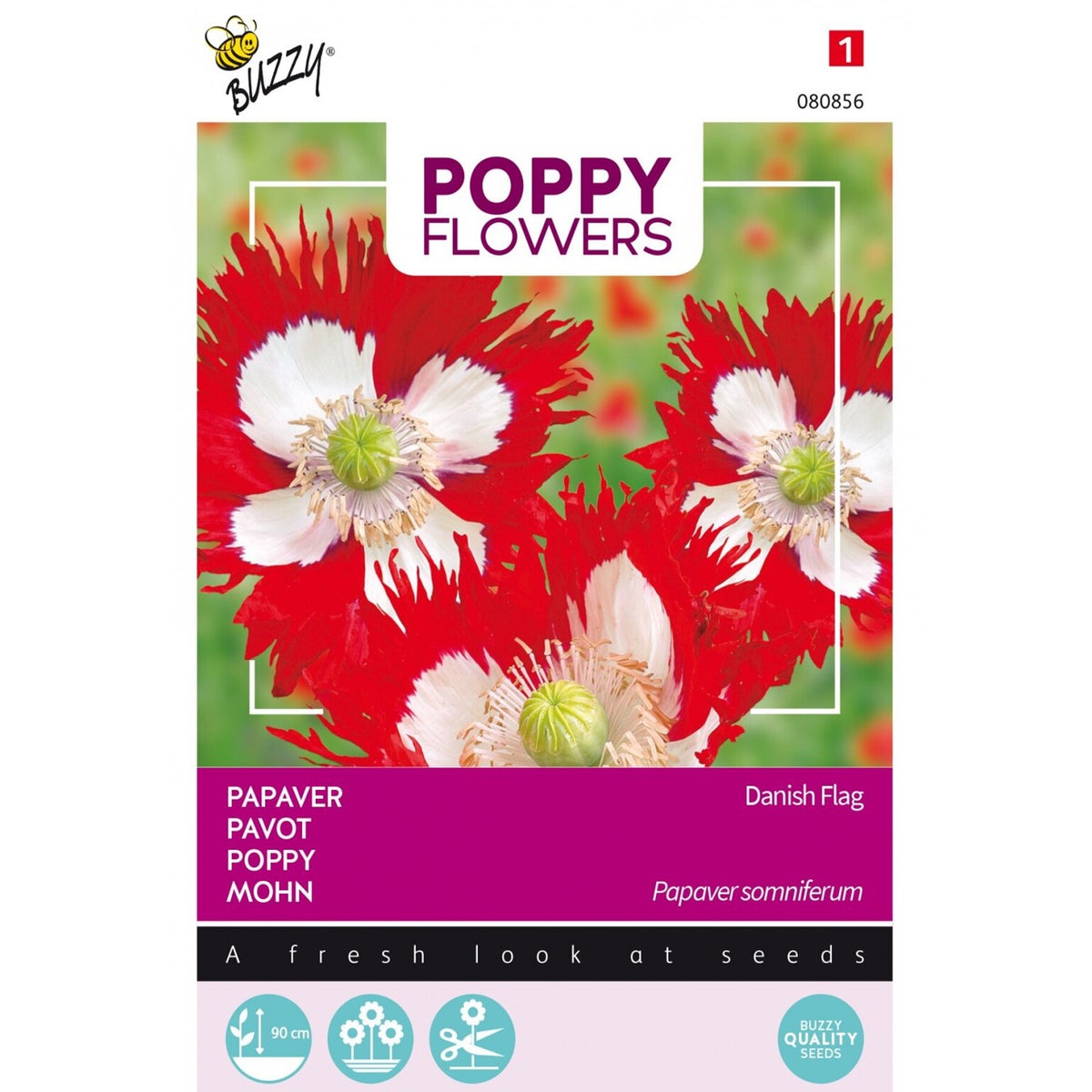 Papaver Deense vlag Papaver Deense vlag