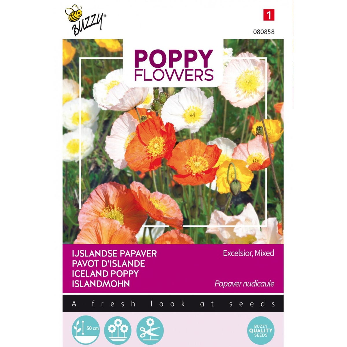 IJslandse Papaver mix IJslandse Papaver mix