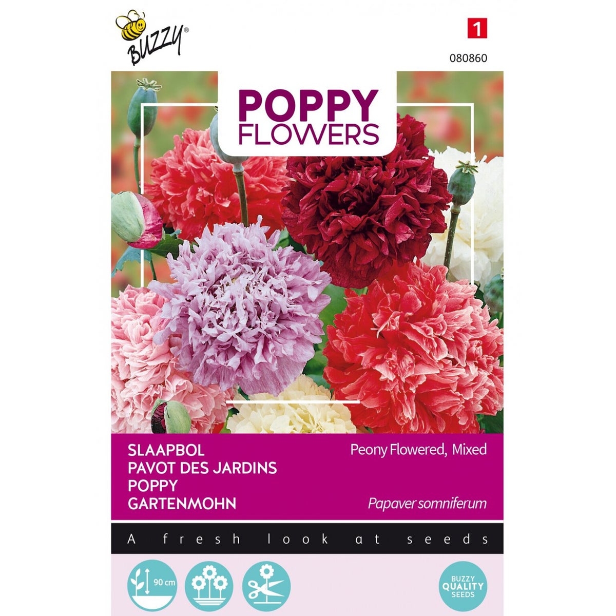 Papaver Pioenbloemig Papaver Pioenbloemig